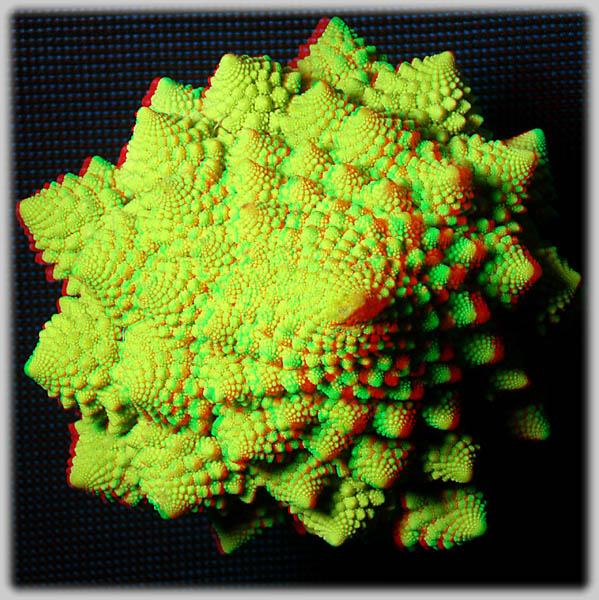 Romanesco - click for next 3D-image