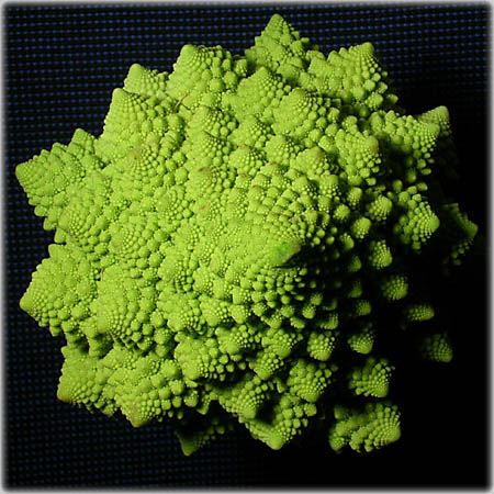 Romanesco - click for next 3D-image