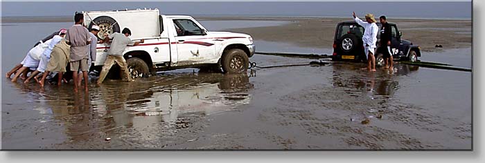 helper needs help at Al-Sawadi beach