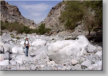 at Wadi Hammam close to Nakhl