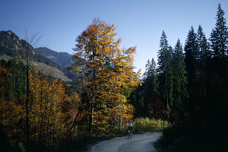 climbing up Hirschkogel - click to go to next image