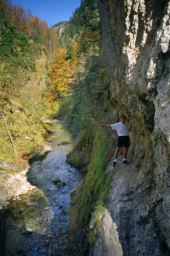 Triftsteig - treking on the former raftsman trail - click to go to next image