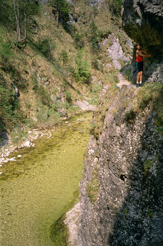 Triftsteig - treking on the former raftsman trail - click to go to next image