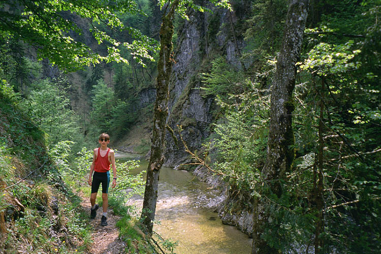 Triftsteig - treking on the former raftsman trail - click to go to next image