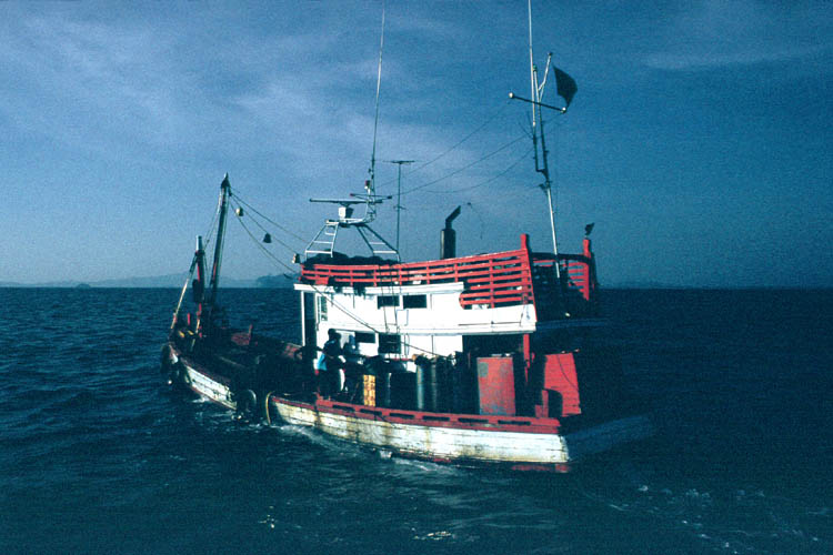 Local fishing boat - click to go to next image