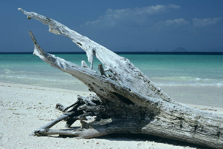 Ko Mai Pai - Bamboo Island - click to go to next image