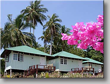 Sunset View Side Bungalow